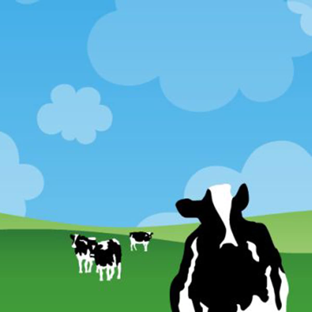 Ben & Jerry’s UK Digital Marketing & Ecommerce Lead