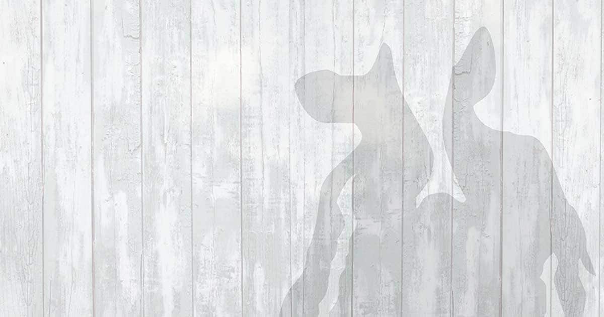 An update on Ben & Jerry’s packaging and recycling standards Ben