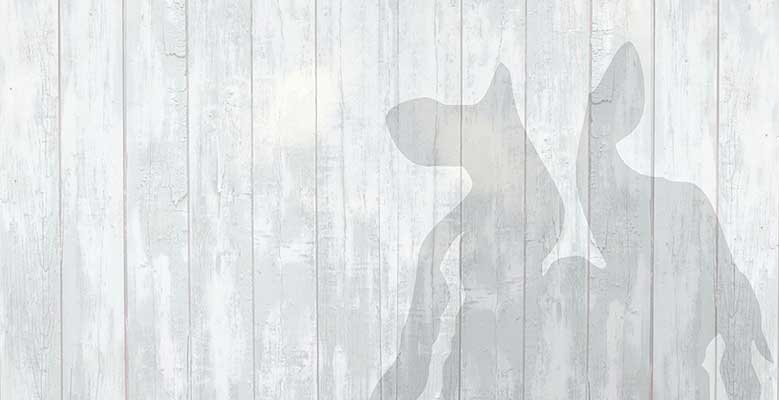 generic-graphic-header-779x400.jpg