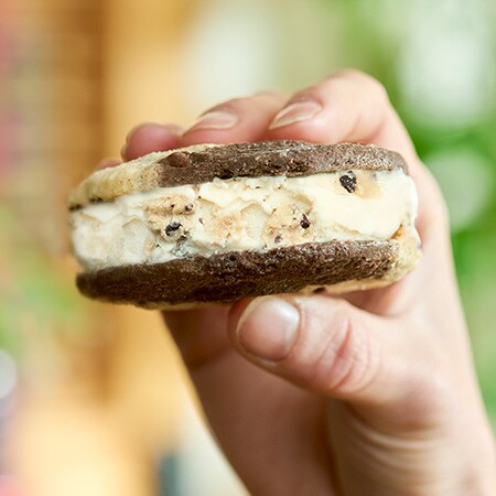 Protect Your Ben & Jerry's 'Wich - Frozen Knuckle Sandwich