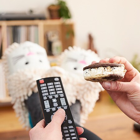 Multitasking with Ben & Jerry's 'Wich - Channel Surf