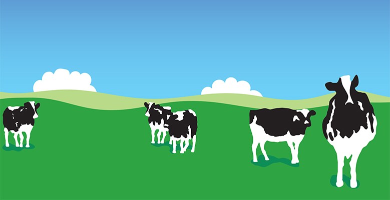 Woody cow