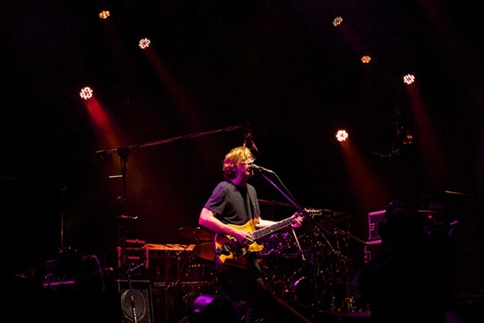 Phish at Randalls Island 2014